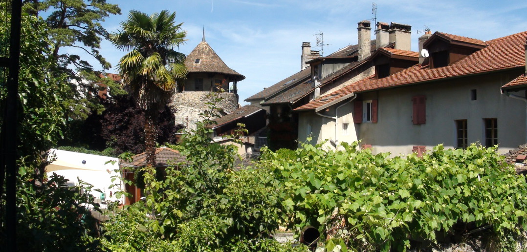 Tour - Vestige du château médiéval ?