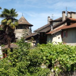 Tour - Vestige du château médiéval ?