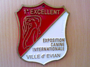 exposition canine internationale Evian