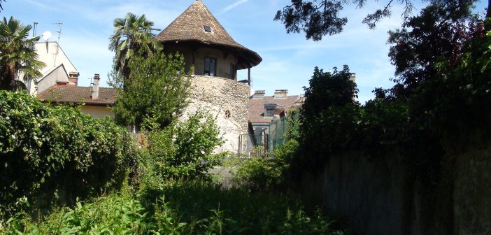 Tour - Vestige du château médiéval ?